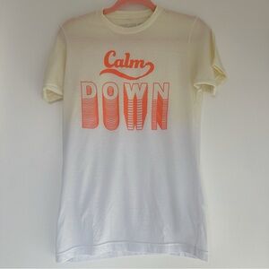 Taylor Swift You Need to Calm Down Lover album merch t-shirt — unisex small
